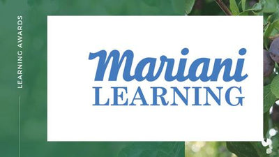 Mariani Learning recognized with two prestigious awards