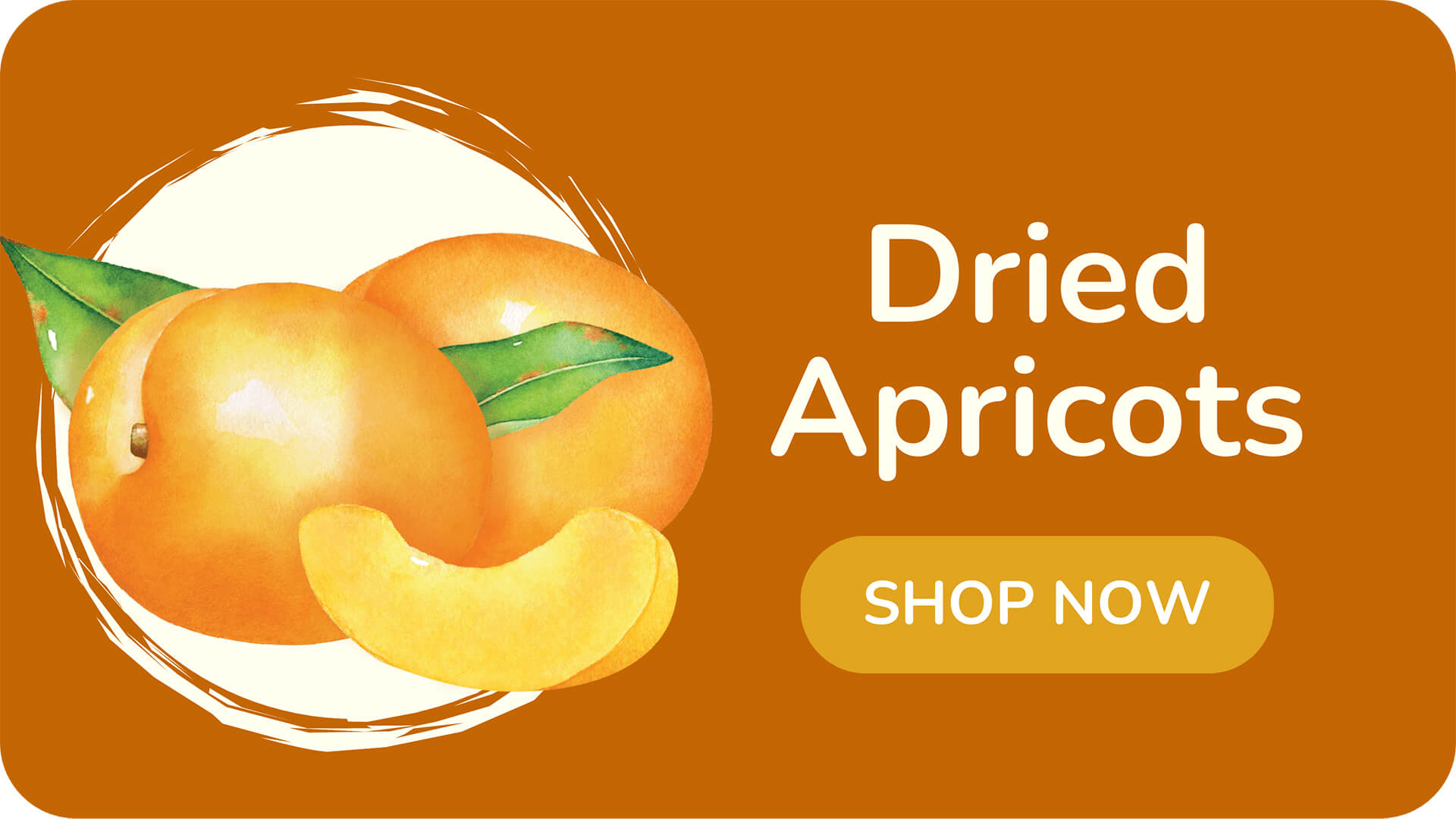 Dried Apricots Shop Mariani Dried Fruit dried-apricots-shop-mariani-dried-fruit